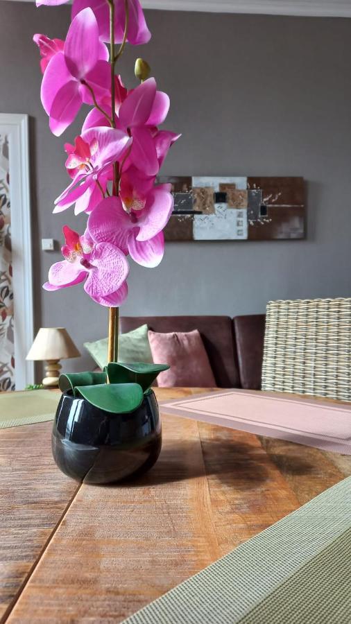 Studios Et Appartements En Centre Ville Boulogne Sur Mer 외부 사진